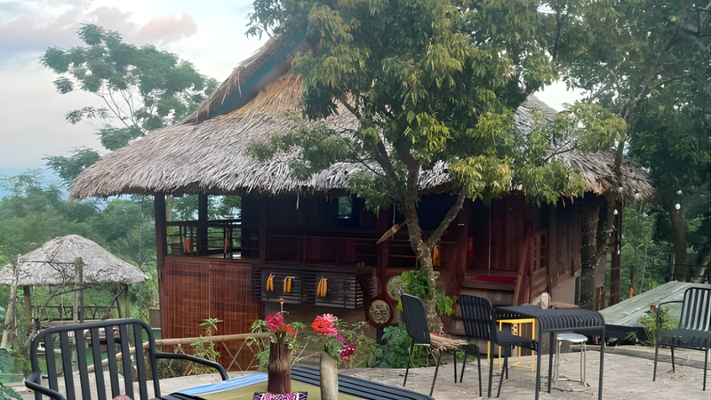 https://files.locallife.asia/images/800/1764398559675-Thiết kế chưa có tên - 2025-11-29T134231.573.png
